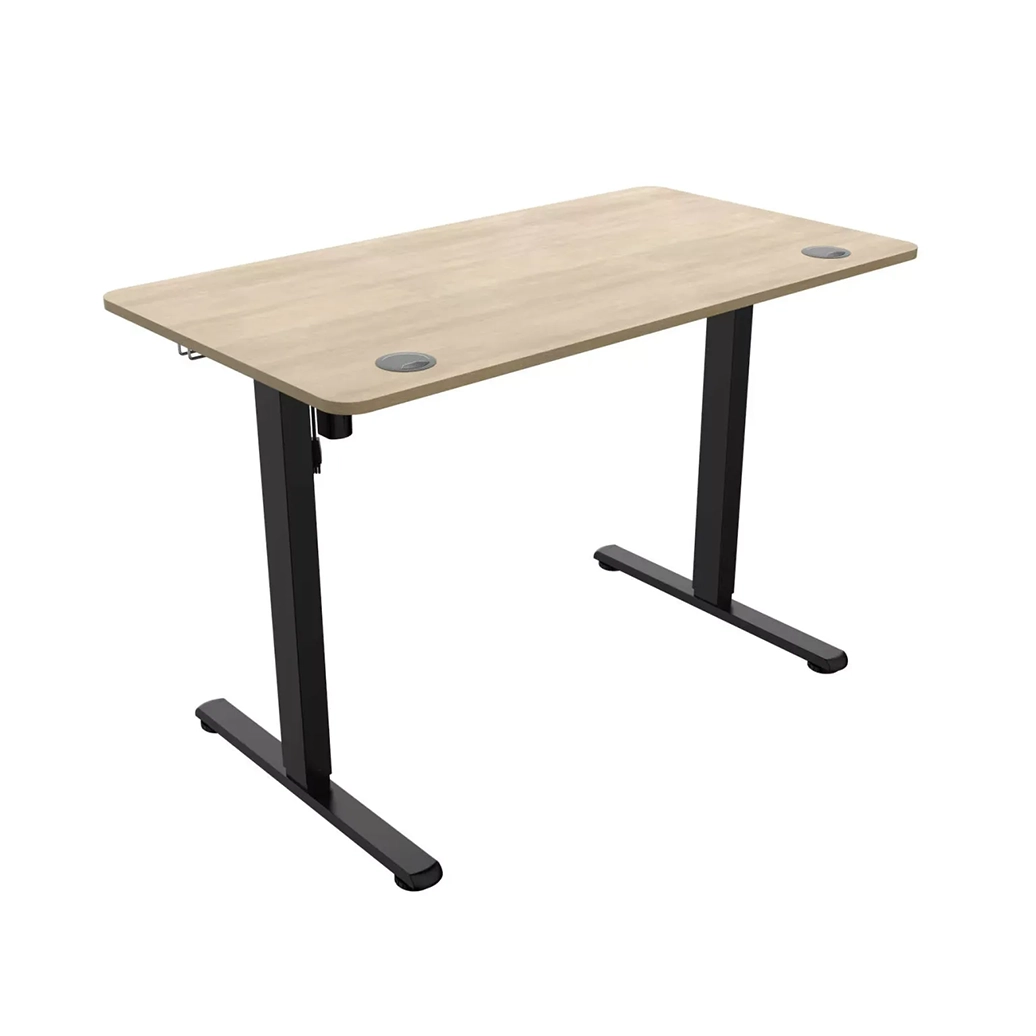 MAXIM Bureau Assis-Debout électrique -Chêne 120×60 cm